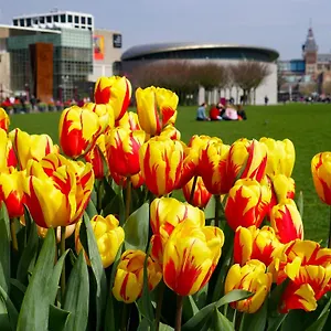 https://apartments-de-hallen.utrechthotels.net
